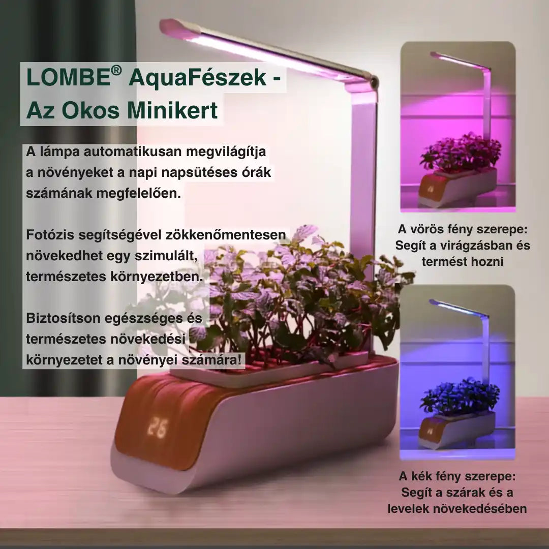AquaFészek - Az Okos Minikert